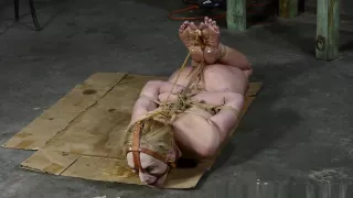 Ariel Anderssen In A Tight Box Hogtie For Ariel – Part 4