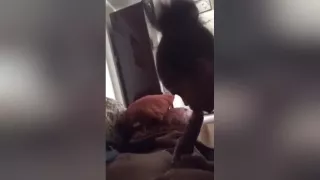 Teaching Pyt To Suck