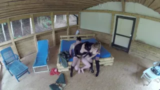 Behind The Scenes Threesome Girls