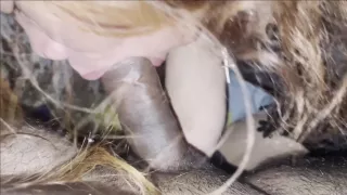 Horny Porn Scene Handjob Exclusive Wild Watch Show