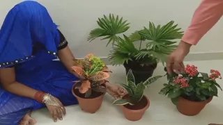 Becahri Bhabhi Flowers Bechne Ai Thi Uncle Ne Zabardasti Ki