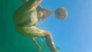 Totaly Naked Underwater # Risky Swim With My New Friends