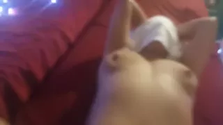 Yes!! Finally Fuck My Step Sis Until She Cums After Oil Massage - J Solo