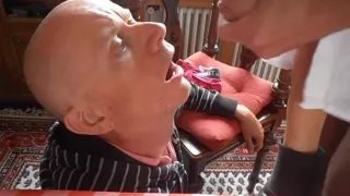 Mittagsmahlzeit Saatschwein wird gefüttert