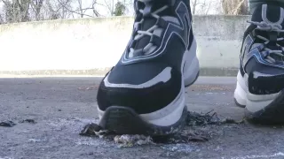 Crush Compilation #3 - Roach and Locust Crush