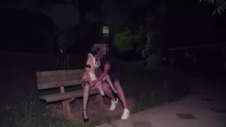 Nachts Im Park Mit Einem Fremden Gevogelt