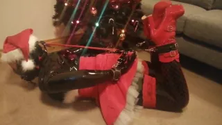 Louise Latex, Naughty Santa