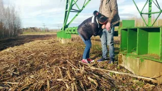 Extreme public sex at high voltage towers. Porn online 2020 for free.