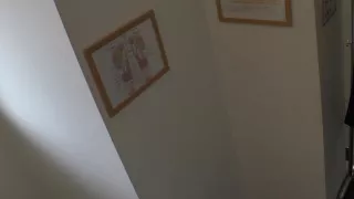 0000670_Japanese_Censored_MGS_19min