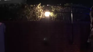 0000784_Japanese_Censored_MGS_19min