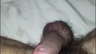 Spanish top breeds Italian bottom