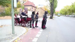 ponygirls and ponyboys outdoor