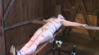 Best Bdsm Porn Videos At Amateur Bdsm Videos