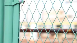 0000912_Japanese_Censored_MGS_19min