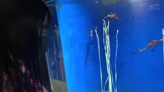 0001230_Japanese_Censored_MGS_19min