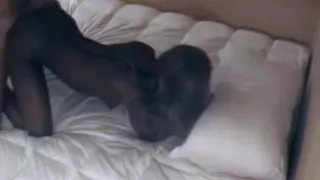 Ebony Babe Gets Laid