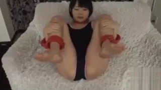 Cho bo là m chó de du