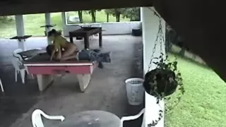 Best xxx video Amateur homemade check pretty one