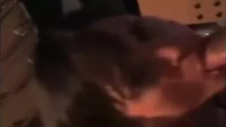 Homemade Mouth Fuck