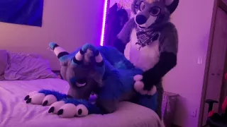 Gamer Furry Gets Sucked Off & Fucks Cute Wolf Girl In Return