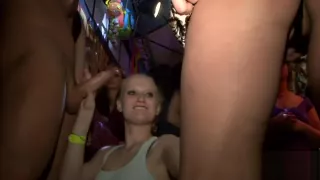 Black cock looking for fuck