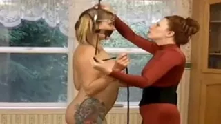 Standing Pole Trainer