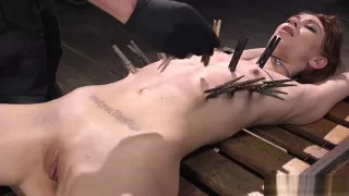 Hogtied brunette made suck dildo