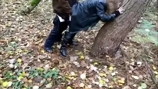 Having fun in woods