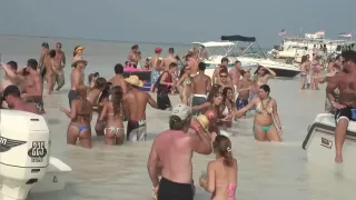 Sea of girls - DreamGirls