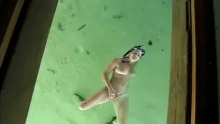 Beach Blowjob- Seymore Butts