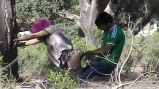 Hidden Cam Arabian Outdoor Sex