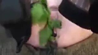 punishment with bunch of nettles