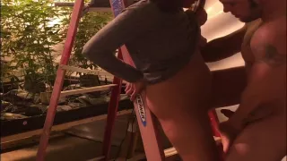 Sexy couple fuck, blowjob and pussy eating. Multiple orgasms!