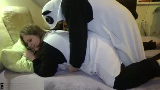Two cute chubby pandas