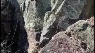 River Hike & Outdoor Fuck on Rock