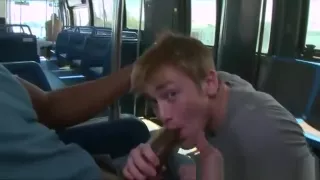 Svart, Buss, Ebenholts, Utomhus, Offentligt, Voyeur