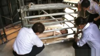 Busty Asian Slut Rui Saotome Caged part5