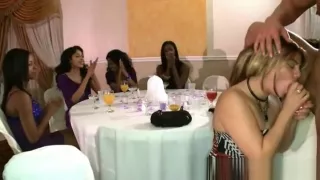 Stagette Party with Strippers getting Dicks Sucked