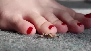 Giantess Punishes Tinies : Close up : HQ : SweetieFeetie : Red Nails : Feet