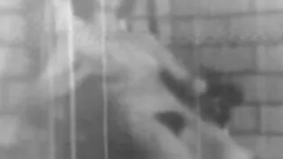 Seductive Bitch Fucked very Tough (1940s Vintage)