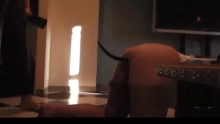 Housewife of frustrated around 40.doggy training