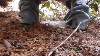 Flashing my butt n pussy and start pissing in parks