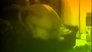 my stepfather fucks and men and women Bern