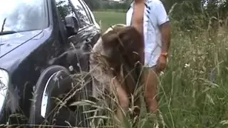 une envie subite d une bonne levrette