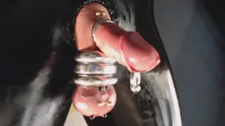 cock larex piercing cockRinge penisRringe
