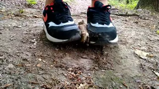 Air Max 1 crushing bun