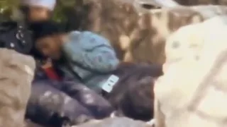 Camera's City Parks Afternoon Delights 79