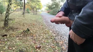 Wenn einige Jungs allein im Wald sind, pissen sie oder holen sich einen runter.