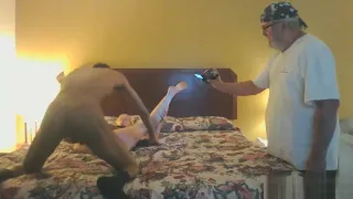 Cuckold films hotwife with her black bull