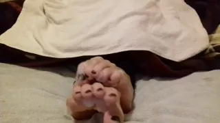 Spreading thick cum between my toes - cum on feet